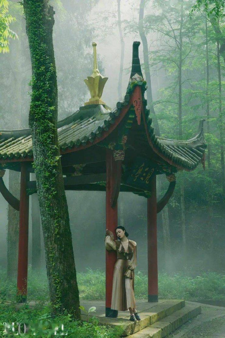 植物大战僵尸14