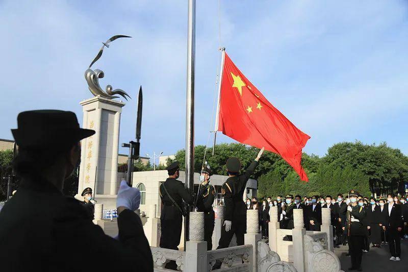 破碎的动物图形