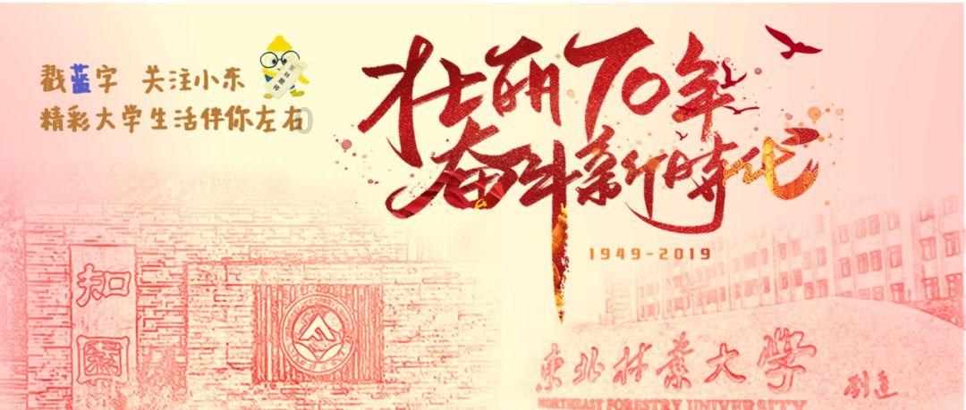 美妙冬季拼图